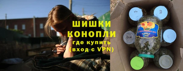шишки Богородск