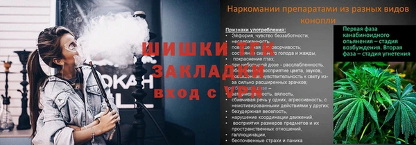 шишки Богородск